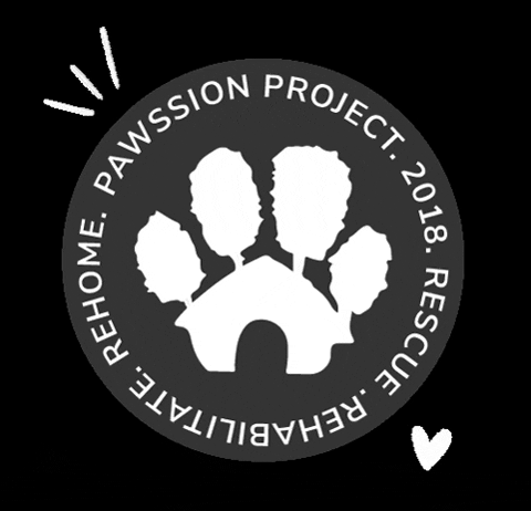 PawssionProject giphygifmaker giphyattribution cat dog GIF