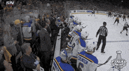 happy ice hockey GIF by NHL