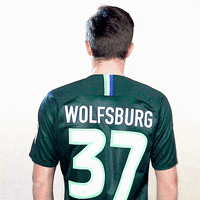 football soccer GIF by VfL Wolfsburg