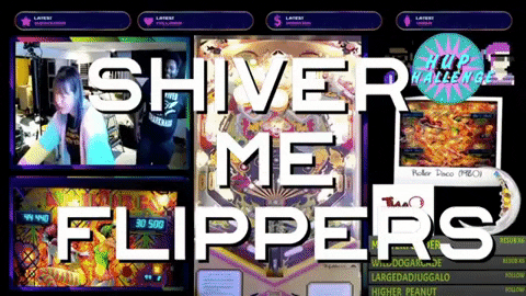 Twitch Pirate GIF by HUPChallenge