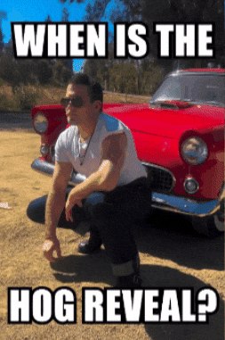 Greaser GIF