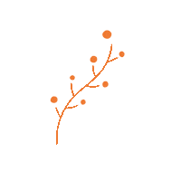 Orange Flower Sticker