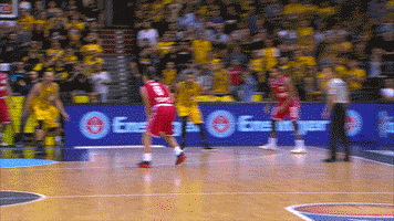 nikos GIF by easyCredit Basketball Bundesliga
