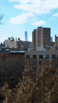 New York Nyc GIF by Yevbel
