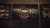 Art Leopold GIF by ViennaTouristboard