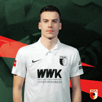 Bundesliga Yes GIF by FC Augsburg 1907