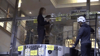 Extinction Rebellion Co-Founder Hammers Glass Window at Department for Transport
