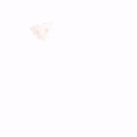 southernbakedpie  GIF