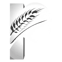 Prm Sticker by SLIM AND HUSKYS