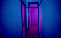 Supalonely GIF by BENEE