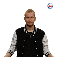 Top 100 Arrow Sticker by Omrop Fryslân