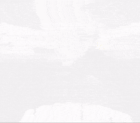 Polenta GIF