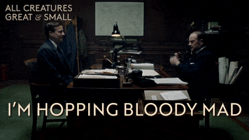 Angry Channel 5 GIF by All Creatures Great And Small