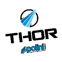 Fly Sky Sticker by Polini