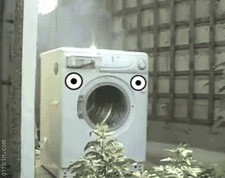 laundry GIF