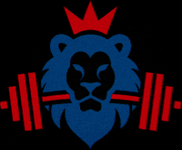 Logo Csv GIF by Weightlifting Holesov