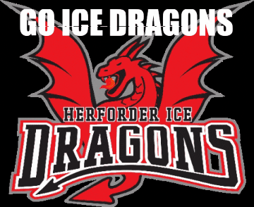 Ice Hockey Hev GIF by Herforder EV