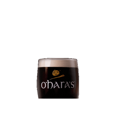 CARLOWBREWINGCO giphygifmaker beer local ireland Sticker
