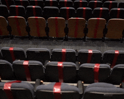 Florida International University Dog GIF by FIU