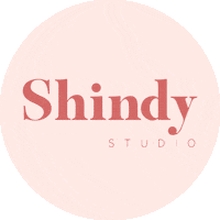 shindystudio party birthday wedding events Sticker