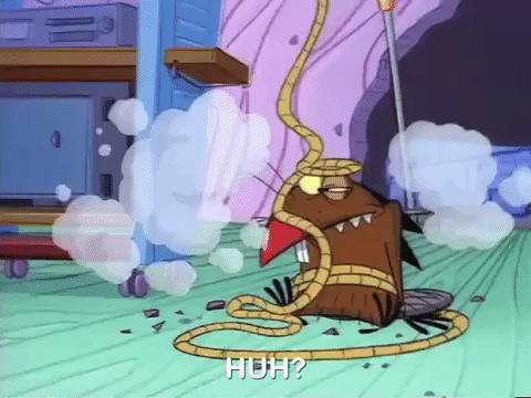 angry beavers nicksplat GIF