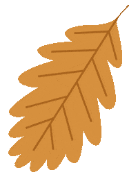 Autumn Leaves Fall Sticker by AnneliADesign