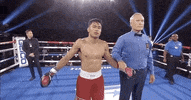 toprank fight boxing fighting fighters GIF