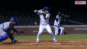 Cubs Celebrate GIF by Marquee Sports Network