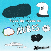 GIF by TVGalicia