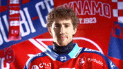 Hockeytown GIF by HC Dynamo Pardubice