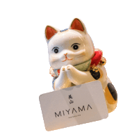 Miyama Cat Sticker by Miyama Melbourne
