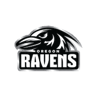 Womens Football Raven Sticker by Women's National Football Conference