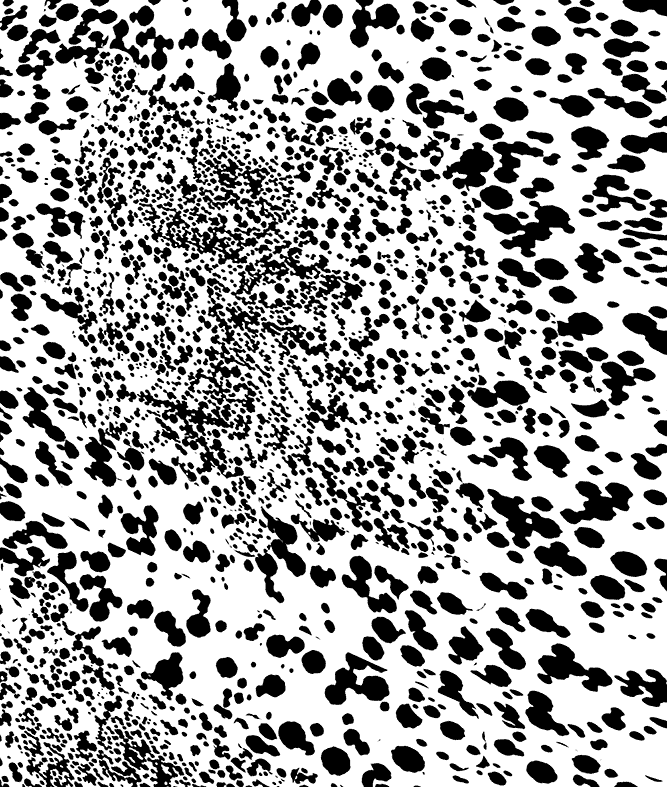 garrybarker giphyupload GIF