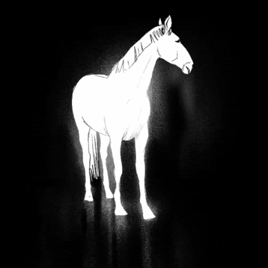Massikka rainbow horse massikka notanunicorn GIF