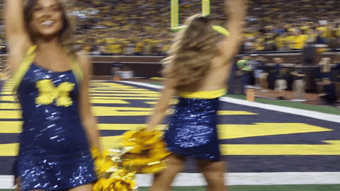 GIF by Michigan Athletics