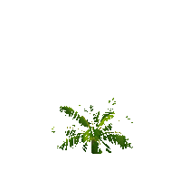 Palm Tree Survivor Sticker by RTL Magyarország