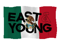 Mexico Flag Sticker by East & Young