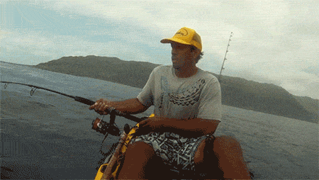 shark fail GIF by Cheezburger