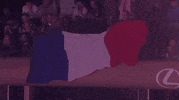 France Sport GIF by UFC