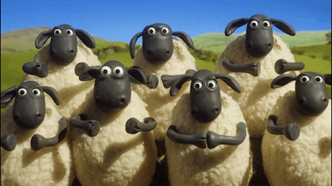 TV gif. A group of sheep from Shaun the Sheep all stand together nodding their heads and clapping to congratulate.