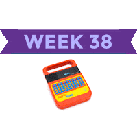 Pregnancy Baby Size Sticker by What to Expect