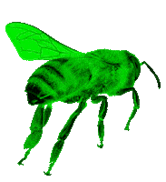 fly flying Sticker by Kampnagel - Internationales Zentrum für schönere Künste