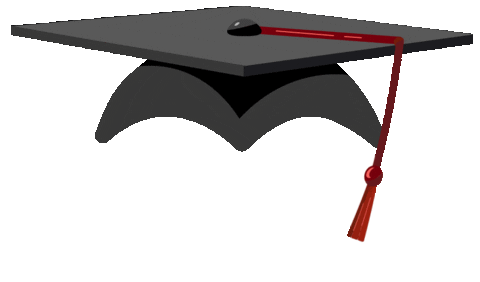 Celebrate South Carolina Sticker by University of South Carolina