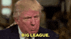 donald trump gop GIF by Election 2016