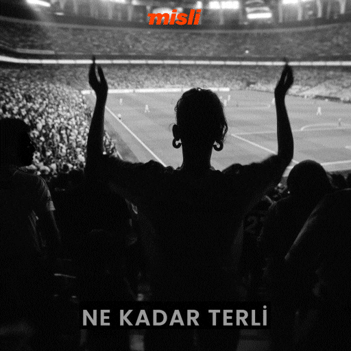 Galatasaray Tammyabraham GIF by Misli