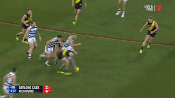 afl afl finals aussie rules australian football league GIF