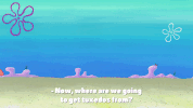 snooze you lose episode 4 GIF by SpongeBob SquarePants