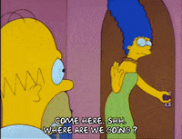 Season 2 Episode 20 GIF by The Simpsons