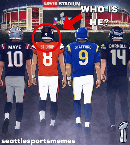 Who Is He Super Bowl GIF