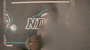 Ndsu Basketball GIF by NDSU Athletics